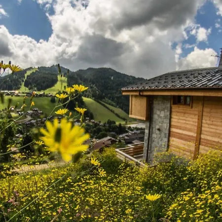 Chantemerle - En Surplomb Du Village, Ideal Pour Famille Mae-2541 Chalet Les Gets